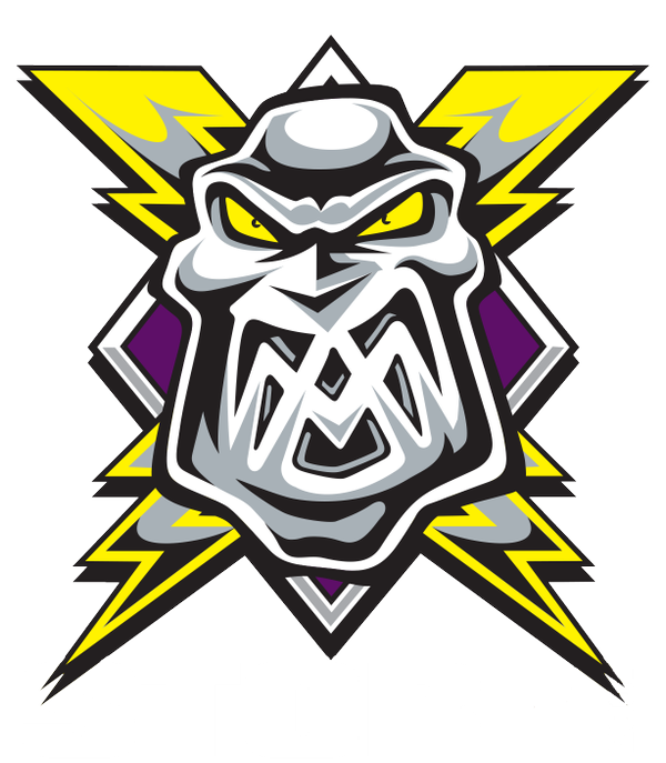 Manchester Storm 2015-Pres Primary Logo iron on transfers for T-shirts